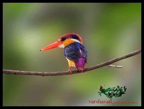 Varshavan- Nature, Hobby And Art Residency Hotel Dāpoli Exterior foto
